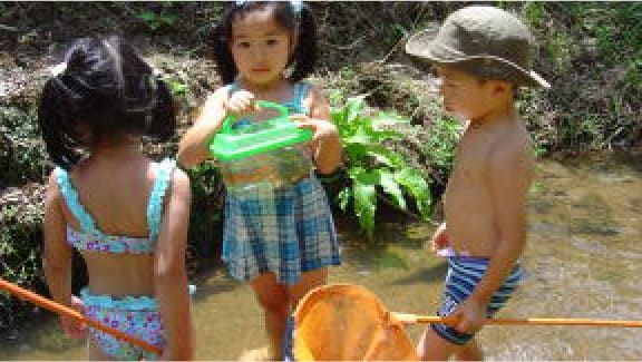 魚つかみ・小魚放流