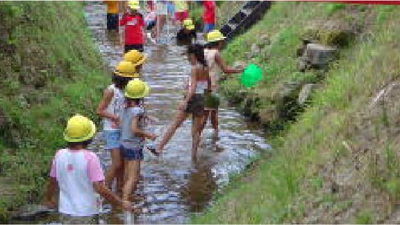 魚つかみ・小魚放流