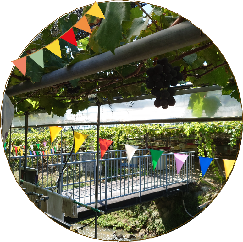 寿々園グレープガーデン