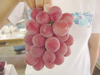 クイーンニーナ